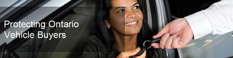 Omvic business plan image