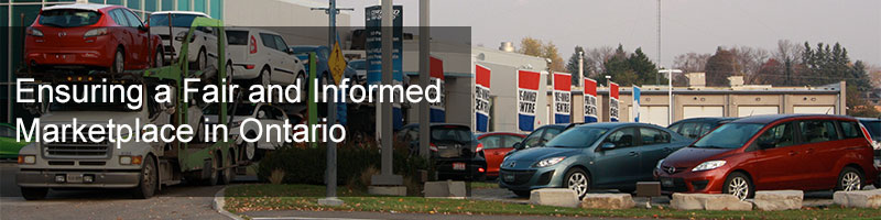 Omvic individual application picture